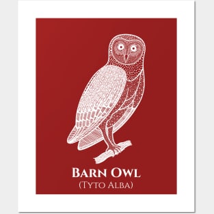 Barn Owl with Common and Scientific Names - bird lovers design Posters and Art